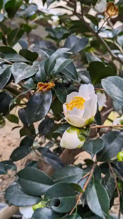 城南宮(京都府)