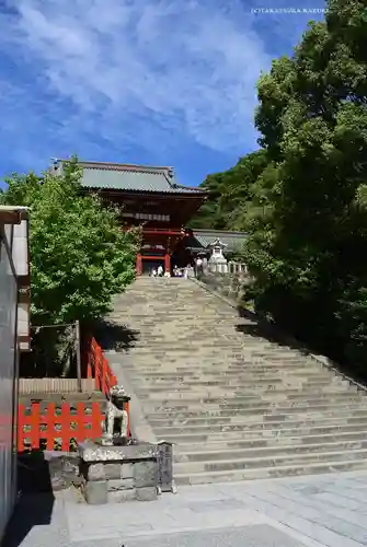 鶴岡八幡宮の本殿