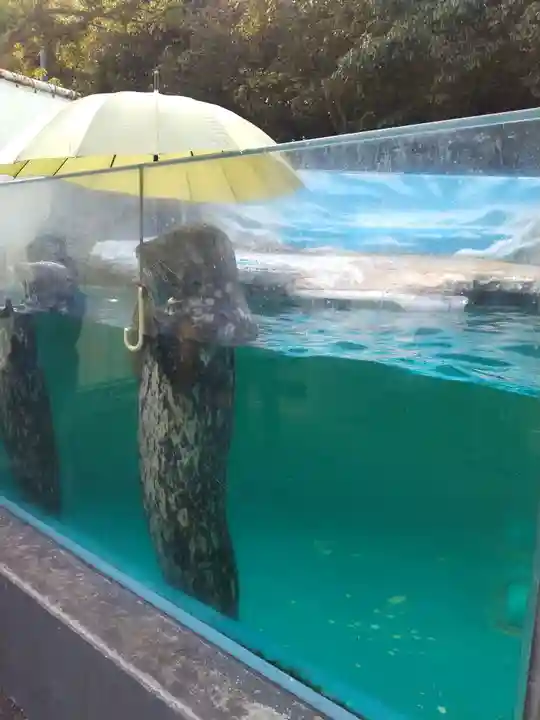 屋島寺(香川県)