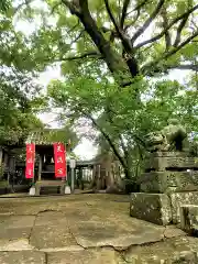 福島八幡宮(福岡県)