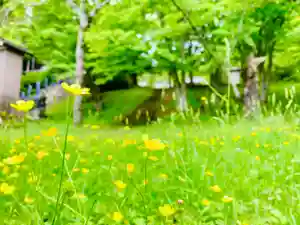 土津神社|こどもと出世の神さまの自然(2021年05月30日(日) 11時13分26秒投稿)