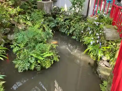 成田山七島不動尊の{uncategorized: "未分類", other: "その他", undefined: "問題あり", building: "その他建物", grave: "お墓", sacred_gate: "鳥居", guardian: "狛犬", statue: "像", buddha: "仏像", history: "歴史", nature: "自然", garden: "庭園", animal: "動物", pagoda: "塔", temizu: "手水舎", mountain_gate: "山門・神門", sanctuary: "本殿・本堂", subordinate: "末社・摂社", art: "芸術", scenery: "景色", jizo: "地蔵", ema: "絵馬", goshuin: "御朱印", omikuji: "おみくじ", items: "授与品その他", amulet: "お守り", goshuincho: "御朱印帳", eats: "食事", festival: "お祭り", votive_dance: "神楽", shichigosan: "七五三参", wedding: "結婚式", experience: "体験その他", initially: "初詣", around: "周辺", anti_infection: "感染症対策"}