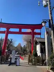 鷲宮神社(埼玉県)