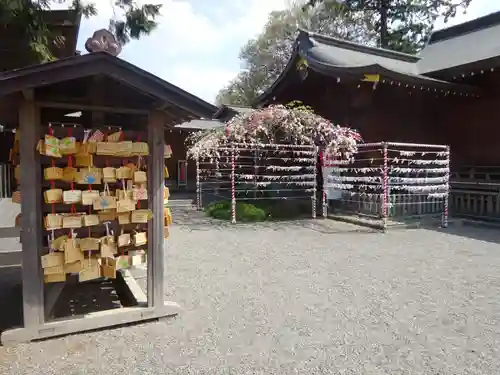 亀ケ池八幡宮の絵馬