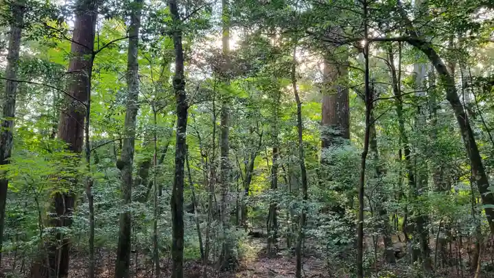瀧原宮(皇大神宮別宮)の自然