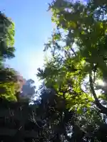 荏柄天神社のその他建物