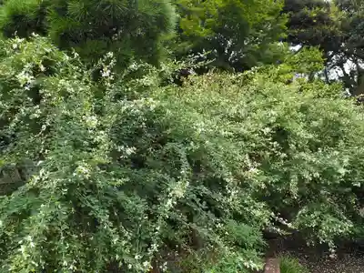 宝戒寺(神奈川県)
