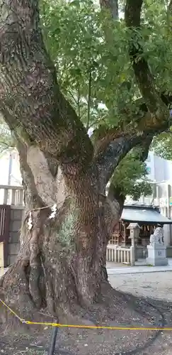 難波神社の自然