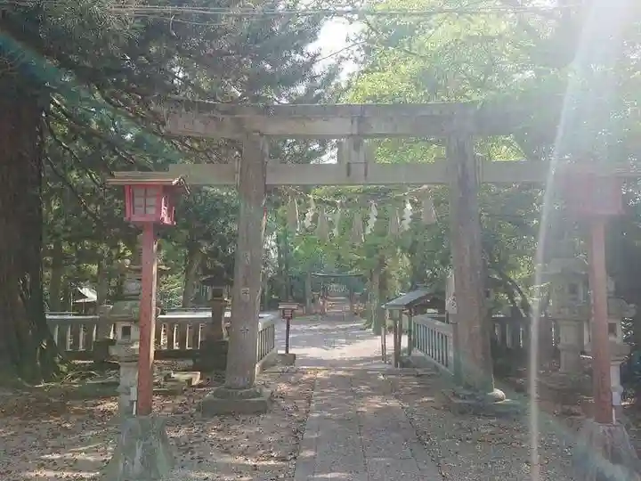 安房神社の鳥居