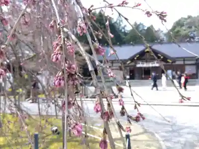 足羽神社(福井県)