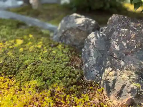 西方山極楽寺(岐阜県)