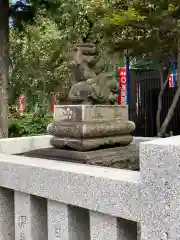 五條天神社の狛犬