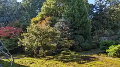 隨心院(随心院)(京都府)