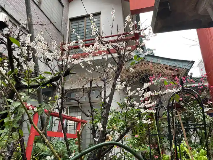 三崎稲荷神社(東京都)