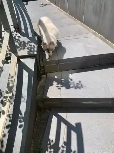 道往寺(東京都)