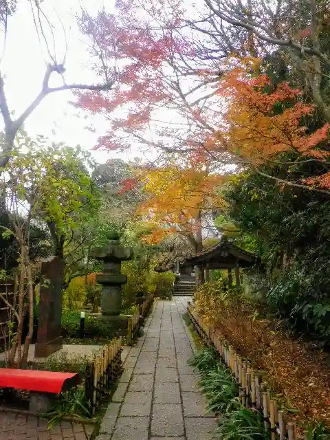 安國論寺(安国論寺)の周辺