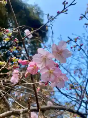 矢奈比賣神社（見付天神）(静岡県)