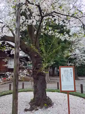 靖國神社(東京都)