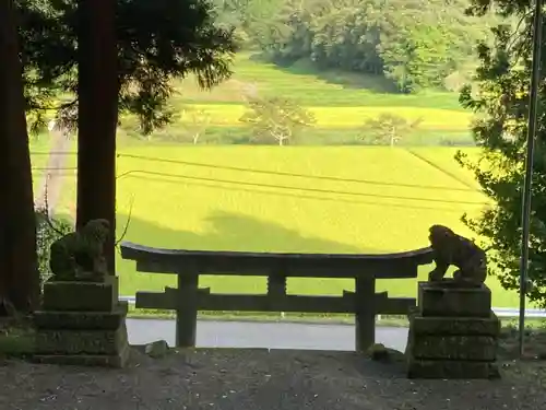 大宮温泉神社の鳥居