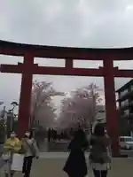 鶴岡八幡宮(神奈川県)