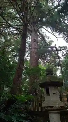 側高神社のその他建物