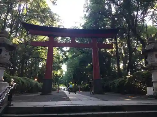 大宮八幡宮の鳥居