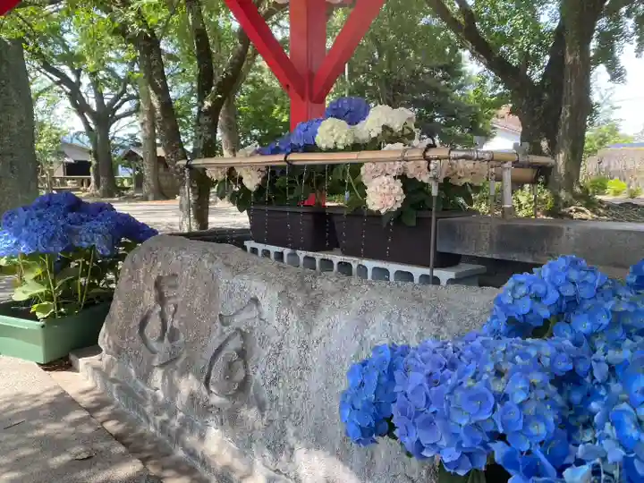 美奈宜神社(福岡県)
