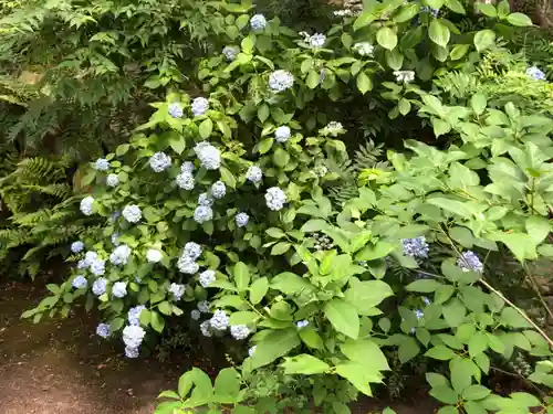 高砂神社の自然