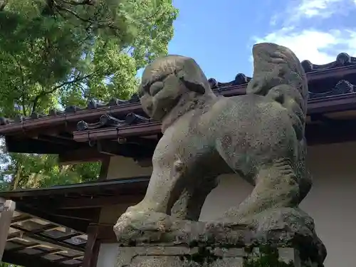 多太神社の狛犬