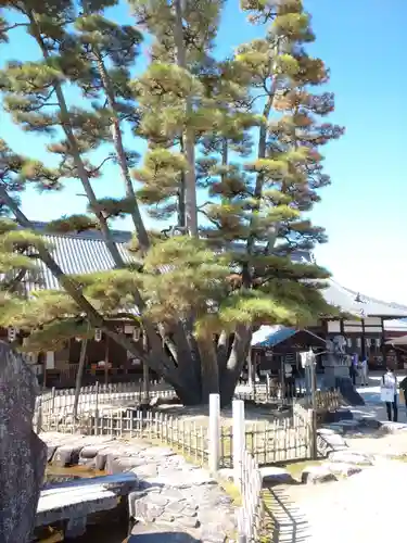 大願寺のその他建物