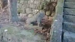 青龍神社の狛犬