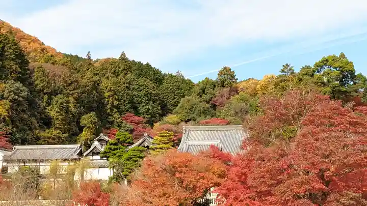 柳谷観音 楊谷寺(京都府)