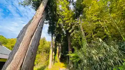前川神社(福井県)