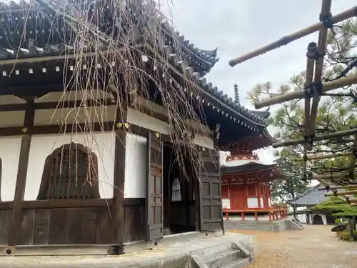 善峯寺(京都府)