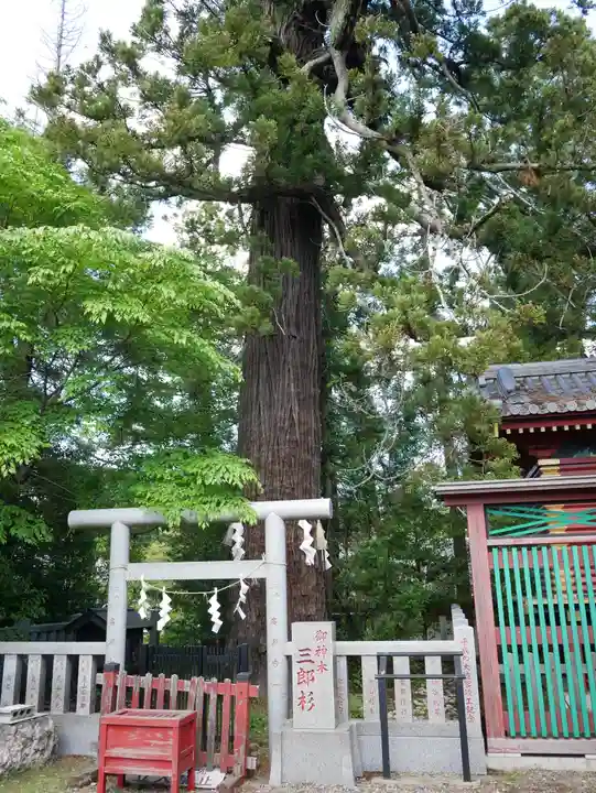 大杉神社(茨城県)
