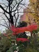 吉原弁財天本宮(吉原神社奥宮)(東京都)