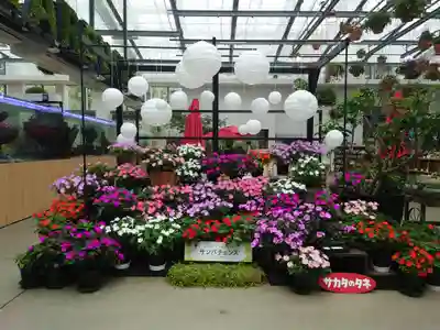 よみうりランド観音(東京都)