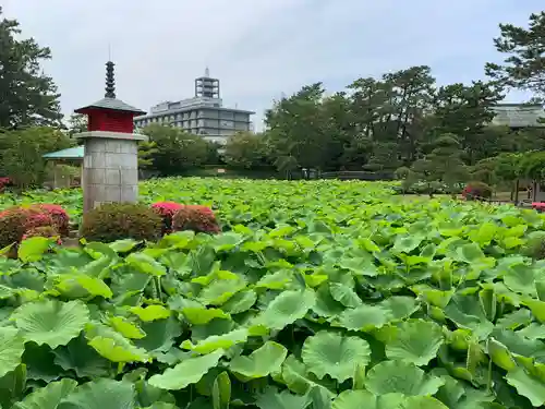 白山神社の庭園