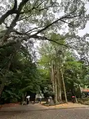 安房神社(千葉県)