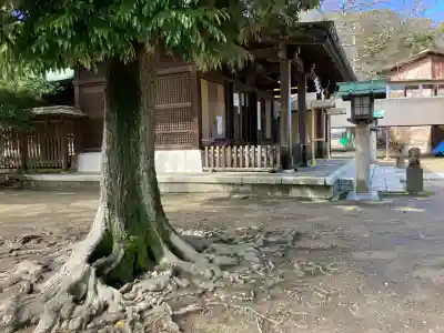 春日神社の{uncategorized: "未分類", other: "その他", undefined: "問題あり", building: "その他建物", grave: "お墓", sacred_gate: "鳥居", guardian: "狛犬", statue: "像", buddha: "仏像", history: "歴史", nature: "自然", garden: "庭園", animal: "動物", pagoda: "塔", temizu: "手水舎", mountain_gate: "山門・神門", sanctuary: "本殿・本堂", subordinate: "末社・摂社", art: "芸術", scenery: "景色", jizo: "地蔵", ema: "絵馬", goshuin: "御朱印", omikuji: "おみくじ", items: "授与品その他", amulet: "お守り", goshuincho: "御朱印帳", eats: "食事", festival: "お祭り", votive_dance: "神楽", shichigosan: "七五三参", wedding: "結婚式", experience: "体験その他", initially: "初詣", around: "周辺", anti_infection: "感染症対策"}