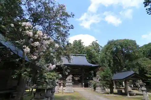 田村神社の本殿・本堂