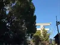 寒川神社(神奈川県)