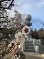 大生郷天満宮(茨城県)