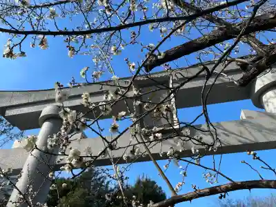 菅原神社（子安天満宮）の{uncategorized: "未分類", other: "その他", undefined: "問題あり", building: "その他建物", grave: "お墓", sacred_gate: "鳥居", guardian: "狛犬", statue: "像", buddha: "仏像", history: "歴史", nature: "自然", garden: "庭園", animal: "動物", pagoda: "塔", temizu: "手水舎", mountain_gate: "山門・神門", sanctuary: "本殿・本堂", subordinate: "末社・摂社", art: "芸術", scenery: "景色", jizo: "地蔵", ema: "絵馬", goshuin: "御朱印", omikuji: "おみくじ", items: "授与品その他", amulet: "お守り", goshuincho: "御朱印帳", eats: "食事", festival: "お祭り", votive_dance: "神楽", shichigosan: "七五三参", wedding: "結婚式", experience: "体験その他", initially: "初詣", around: "周辺", anti_infection: "感染症対策"}