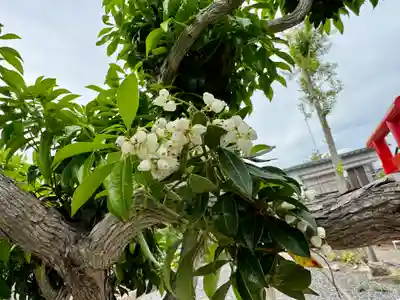 熊野福藏神社(福島県)