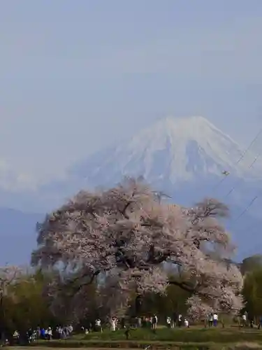 実相寺(山梨県)