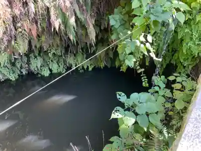 銭洗弁財天宇賀福神社(神奈川県)