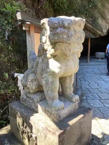 銭洗弁財天宇賀福神社の狛犬