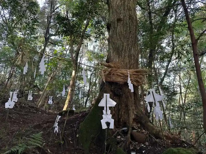 佐為神社の{uncategorized: "未分類", other: "その他", undefined: "問題あり", building: "その他建物", grave: "お墓", sacred_gate: "鳥居", guardian: "狛犬", statue: "像", buddha: "仏像", history: "歴史", nature: "自然", garden: "庭園", animal: "動物", pagoda: "塔", temizu: "手水舎", mountain_gate: "山門・神門", sanctuary: "本殿・本堂", subordinate: "末社・摂社", art: "芸術", scenery: "景色", jizo: "地蔵", ema: "絵馬", goshuin: "御朱印", omikuji: "おみくじ", items: "授与品その他", amulet: "お守り", goshuincho: "御朱印帳", eats: "食事", festival: "お祭り", votive_dance: "神楽", shichigosan: "七五三参", wedding: "結婚式", experience: "体験その他", initially: "初詣", around: "周辺", anti_infection: "感染症対策"}