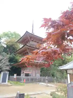 岩殿山安楽寺（吉見観音）(埼玉県)